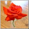 rosered.jpg
